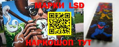индика Гусь-Хрустальный