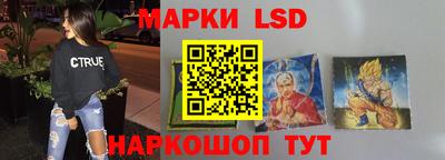индика Гусь-Хрустальный