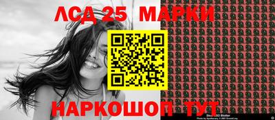 индика Гусь-Хрустальный
