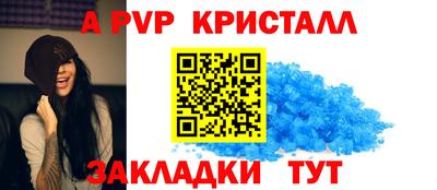 СК Дубна